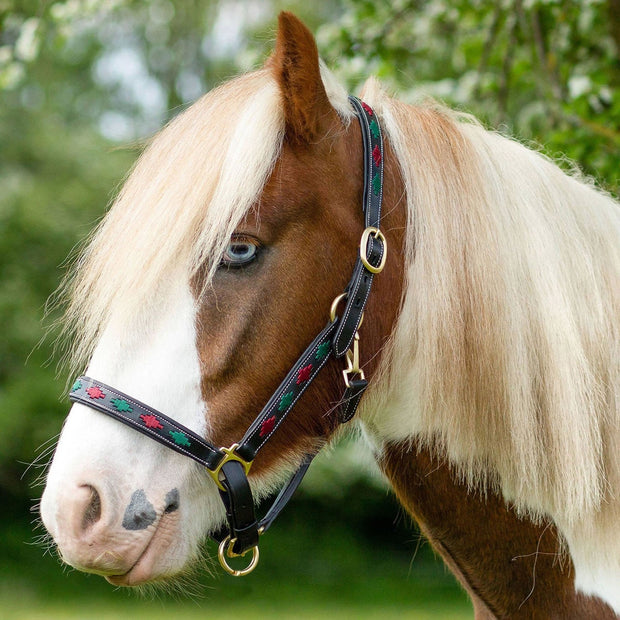 Gallop Headcollar Pony / Burgundy/Green Gallop Diamond Padded Leather Headcollar