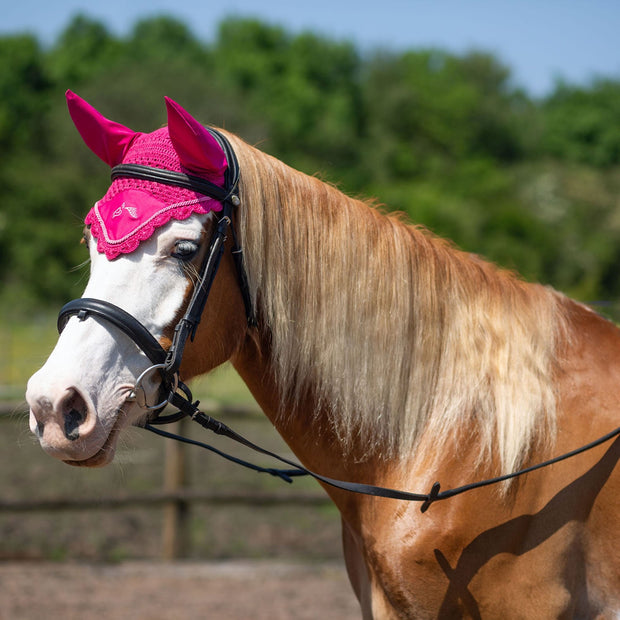 Gallop Muffler Pony Gallop Classic Fly Veil Fuchsia