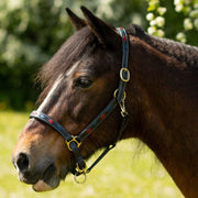 Gallop Headcollar Pony / Navy/Burgundy Gallop Diamond Padded Leather Headcollar