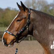 Gallop Headcollar Pony / Pink/Aqua Gallop Diamond Padded Leather Headcollar