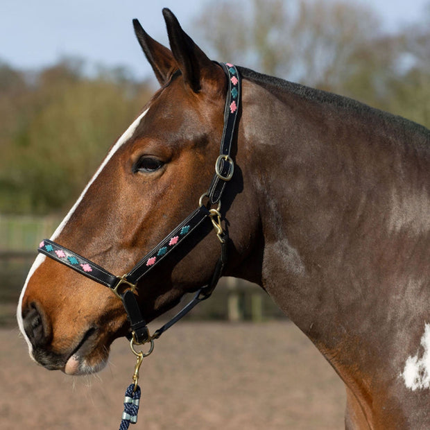 Gallop Headcollar Pony / Pink/Aqua Gallop Diamond Padded Leather Headcollar