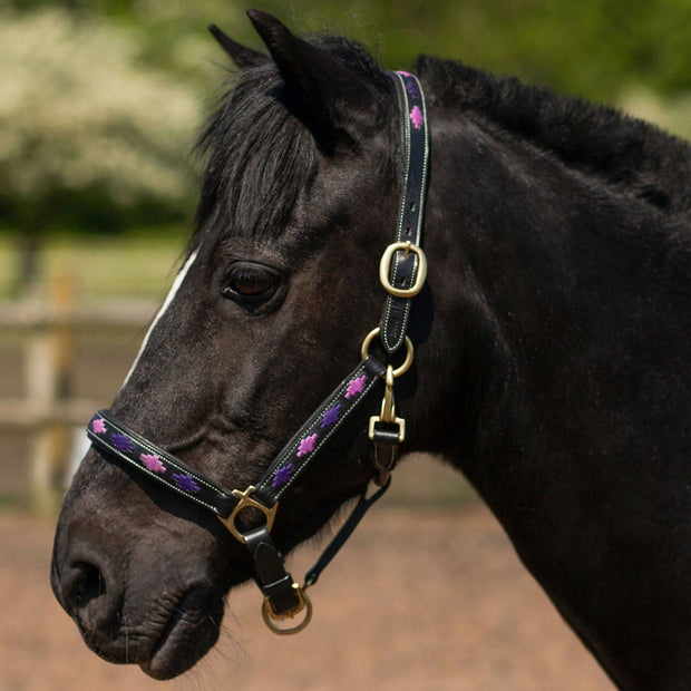 Gallop Headcollar Pony / Purple/Lilac Gallop Diamond Padded Leather Headcollar