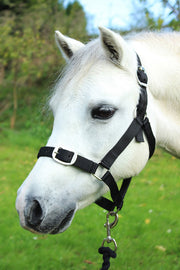 Gallop Headcollar Shetland / Black Gallop Headcollar & Lead Rope Set