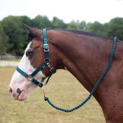 Gallop Headcollar Shetland / Green Gallop Premium Padded Headcollar & Lead Rope Set