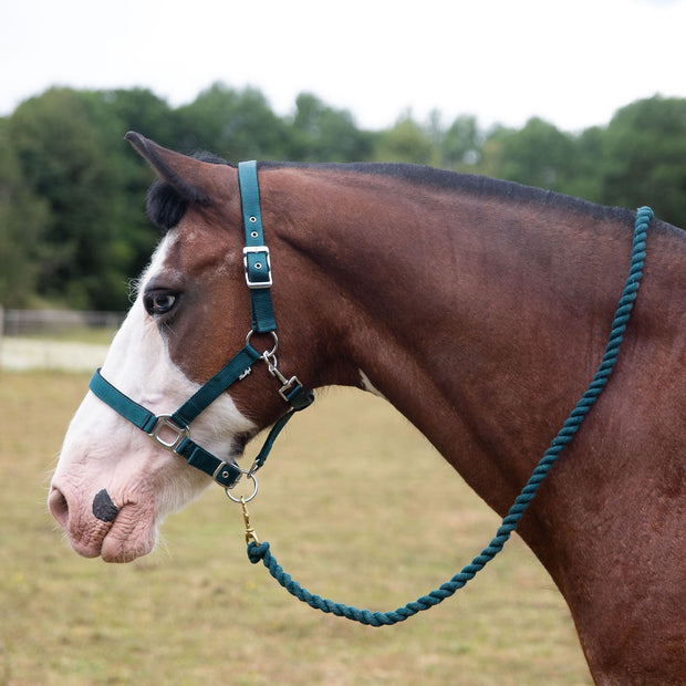 Gallop Headcollar Shetland / Green Gallop Premium Padded Headcollar & Lead Rope Set