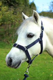 Gallop Headcollar Shetland / Navy Gallop Headcollar & Lead Rope Set