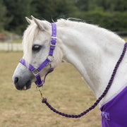 Gallop Headcollar Shetland / Purple Gallop Premium Padded Headcollar & Lead Rope Set