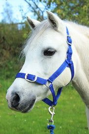 Gallop Headcollar Shetland / Royal Gallop Headcollar & Lead Rope Set