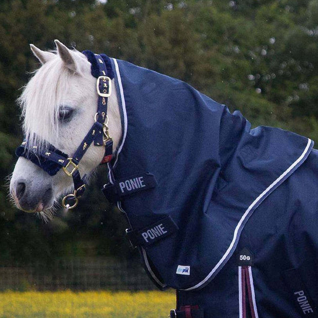 Gallop Horse Rugs XXsmall Gallop Ponie Duraproof 5-Point Std Lightweight Neck Cover Navy