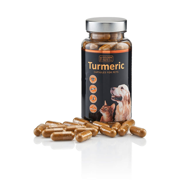 Golden Paste Company Dog Supplements Golden Paste Company Turmeric Capsules for Pets