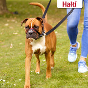 Halti Dog Harness Halti Optifit Headcollar Dog Collar