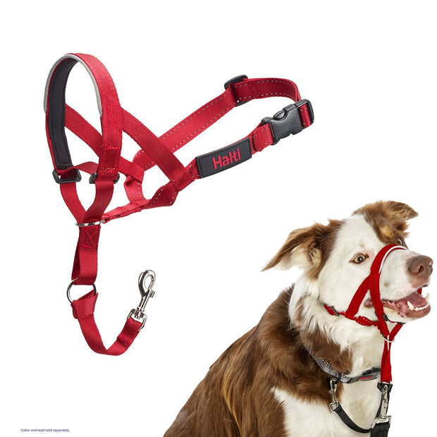 Halti Size 2 / Red Halti Headcollar Dog Collar