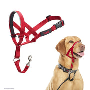 Halti Size 3 / Red Halti Headcollar Dog Collar