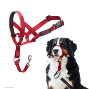 Halti Size 4 / Red Halti Headcollar Dog Collar