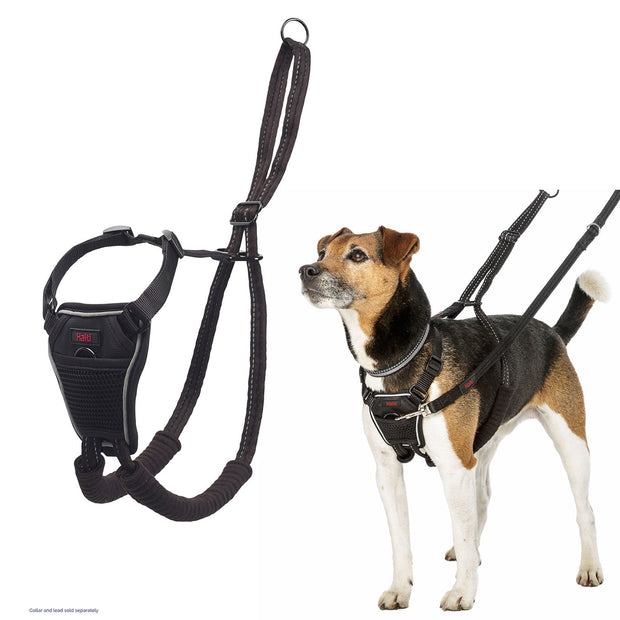 Halti No Pull Dog Harness from Halti Riding Harness Stuff