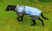 Henry Wag Dog Coat Henry Wag Waterproof Dog Coat