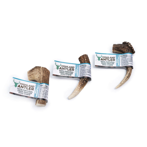Highland Antler Dog Treat Small 50-75g Highland Antler