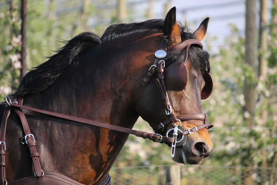 Ideal Bit Lifter – Riding & Harness Stuff