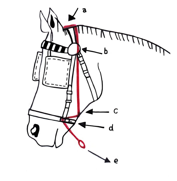 Ideal Noseband Ideal Bitless Noseband for Driving Bridle