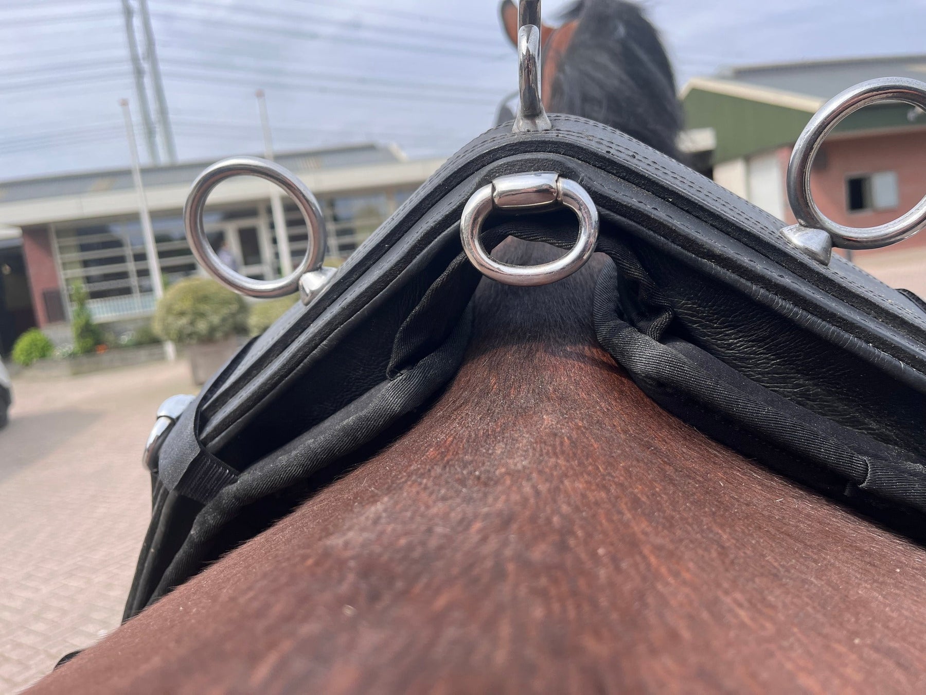 Riding, harness and equestrian equipment Riding & Harness Stuff