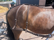 Ideal Driving Harness Ideal WebTech Combination Driving Harness Single - Bridle & Reins available seperately