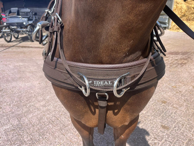 Ideal Driving Harness Ideal WebTech Combination Driving Harness Single - Bridle & Reins available seperately