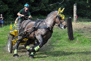 Ideal Driving Harness Shire / Black Ideal EuroTech Combination Harness