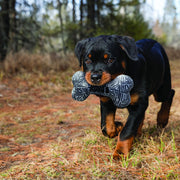 Kong Dog Toy Kong Maxx Bone Dog Toy