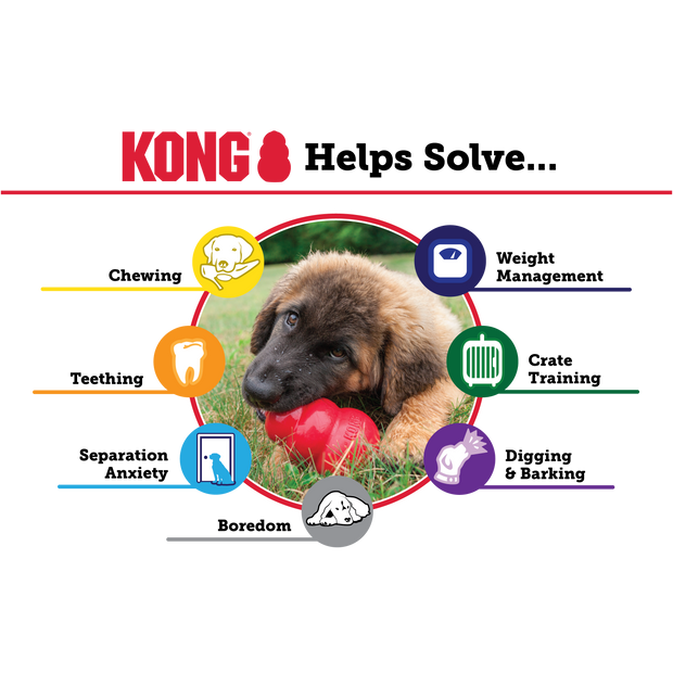 Kong Dog Toy Kong Senior Dog Toy