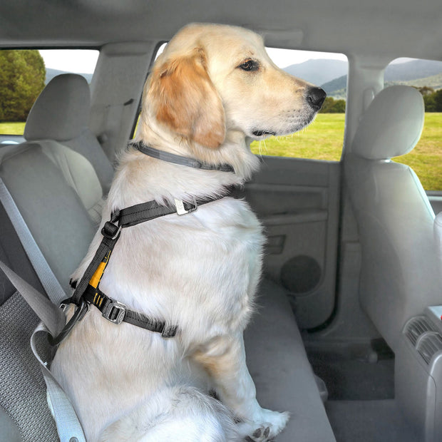 Kurgo Kurgo Tru-Fit Smart Dog Harness with Seatbelt Tether