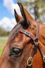 Oregon Bridle Oregon Bling Barcoo Head Bridle