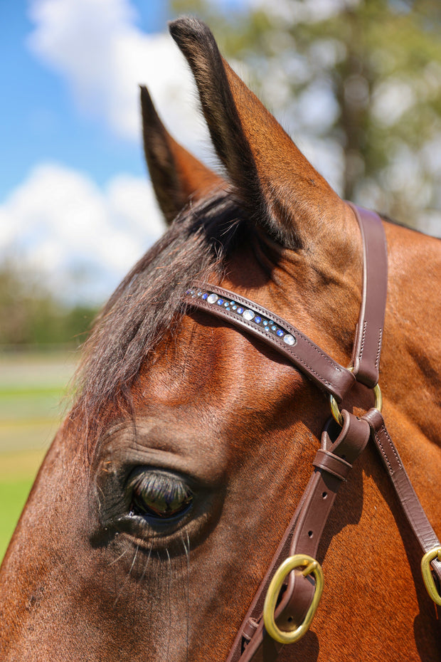 Oregon Bridle Oregon Bling Barcoo Head Bridle