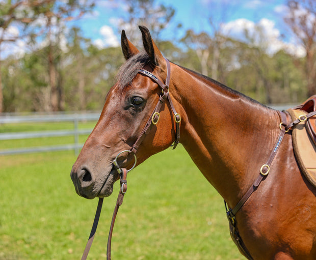 Oregon Bridle Oregon Bling Barcoo Head Bridle