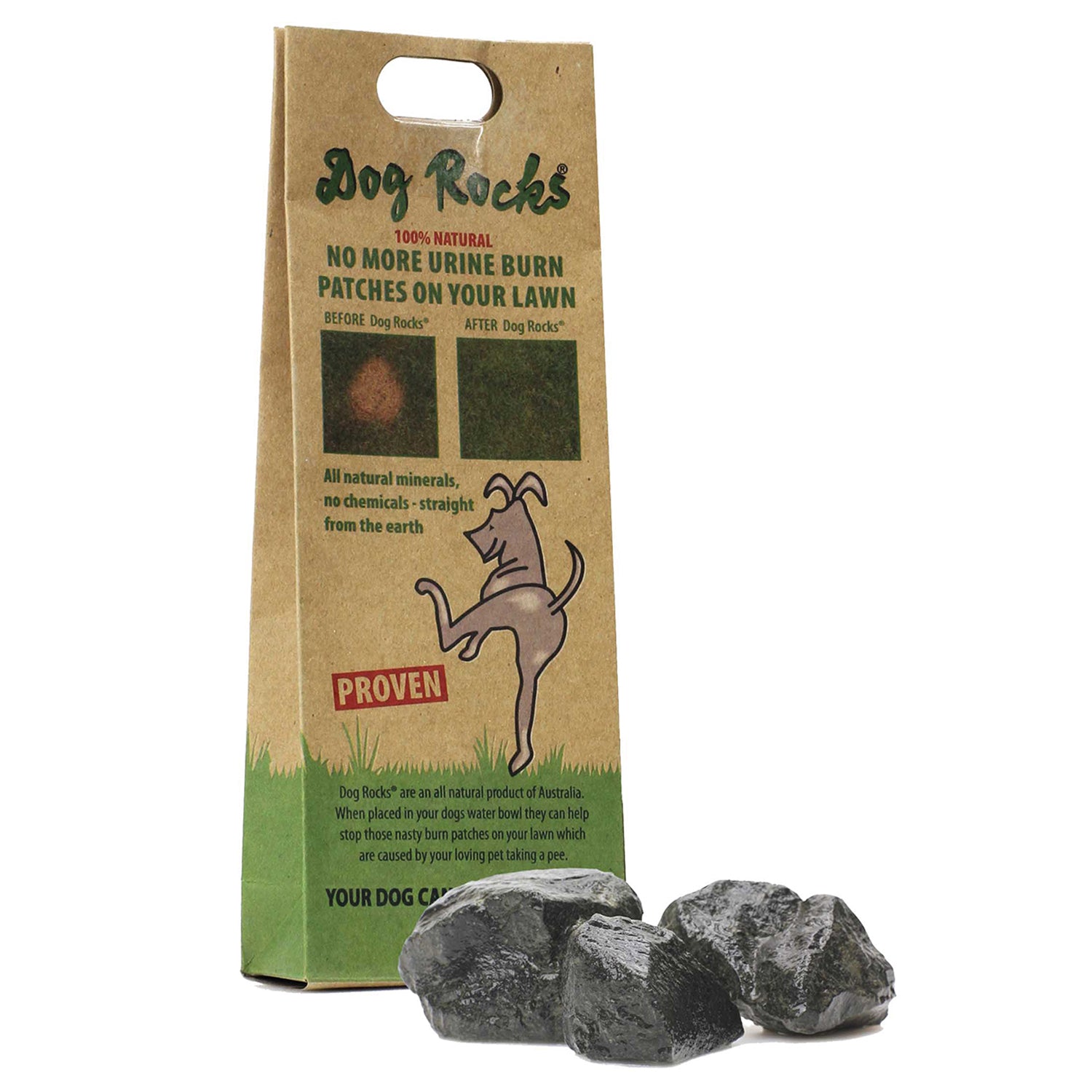 Podium Pet Products Dog Rocks from Podium Pet Products – Riding ...