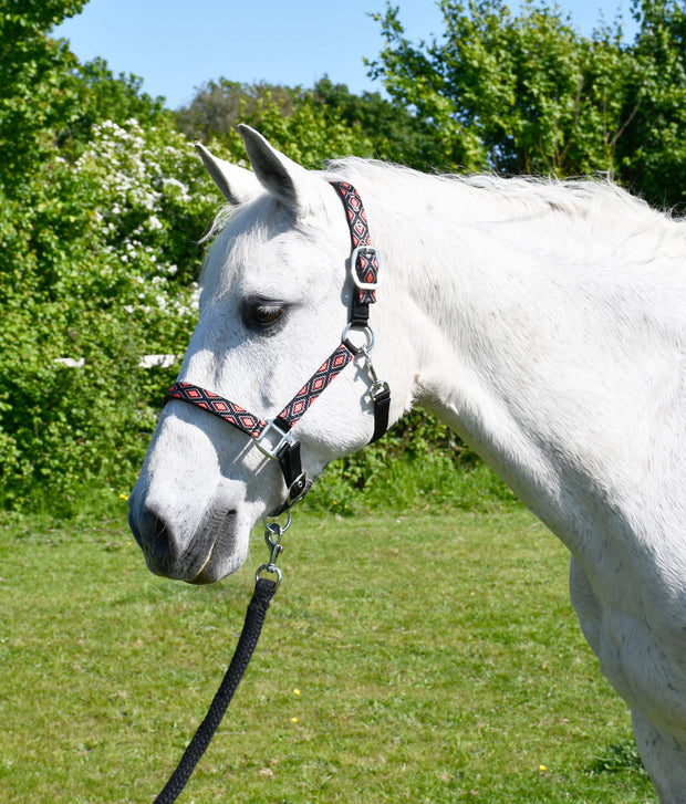 Rhinegold Headcollar & Lead Black / Shetland Rhinegold Padded Diamond Pattern Headcollar And Lead Rope Set CLEARANCE