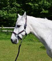 Rhinegold Headcollar & Lead Navy / Shetland Rhinegold Padded Diamond Pattern Headcollar And Lead Rope Set CLEARANCE