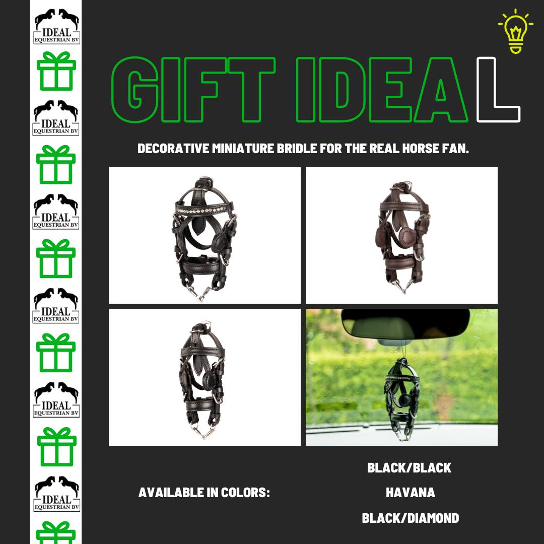 Driving Accessories Riding & Harness Stuff