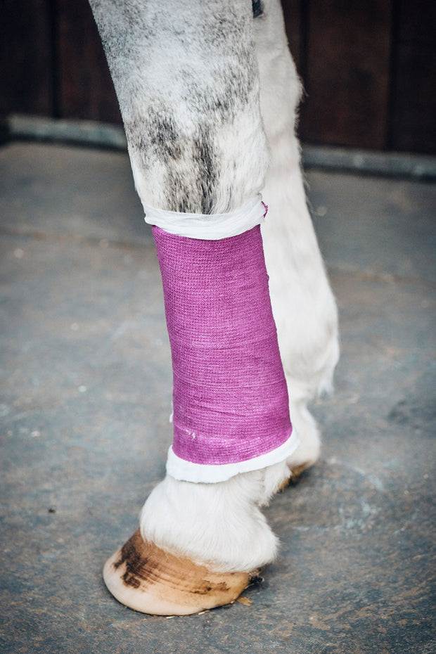 Robinsons First Aid Purple Robinsons Healthcare Equiwrap Bandage