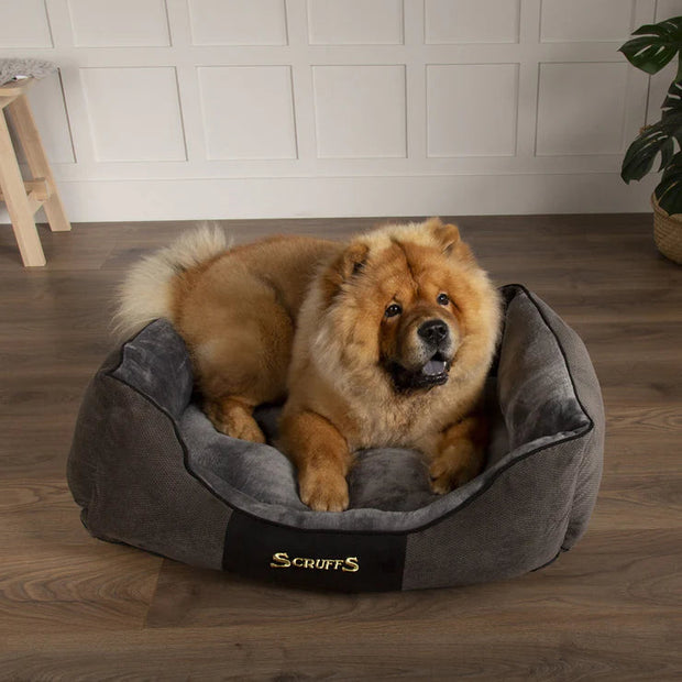 Scruffs Dog Bed Scruffs Chester Box Dog Bed