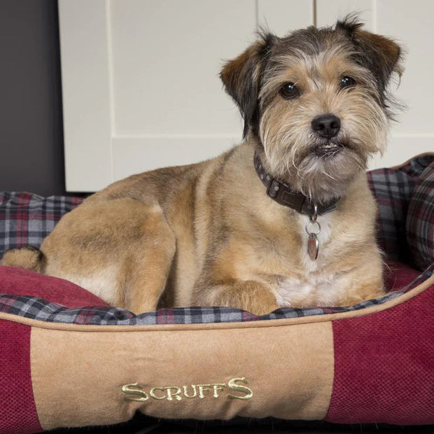 Scruffs Dog Bed Scruffs Highland Box Dog Bed Red