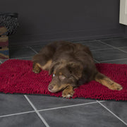 Scruffs Dog Bed Scruffs Noodle Dry Mat Dog Bed