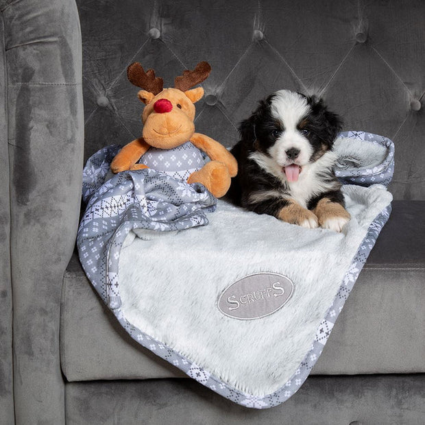 Scruffs Dog Bed Scruffs Santa Paws Blanket & Toy Set Dog Bed