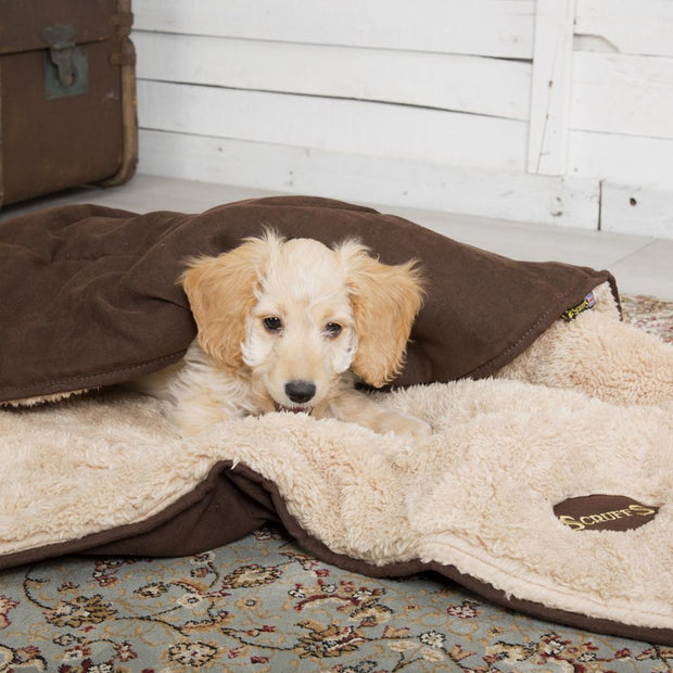 Scruffs Dog Bed Scruffs Snuggle Blanket Dog Bed