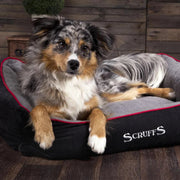 Scruffs Dog Bed Scruffs Thermal Box Dog Bed