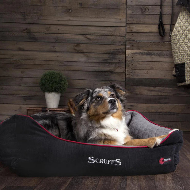 Scruffs Dog Bed Scruffs Thermal Box Dog Bed