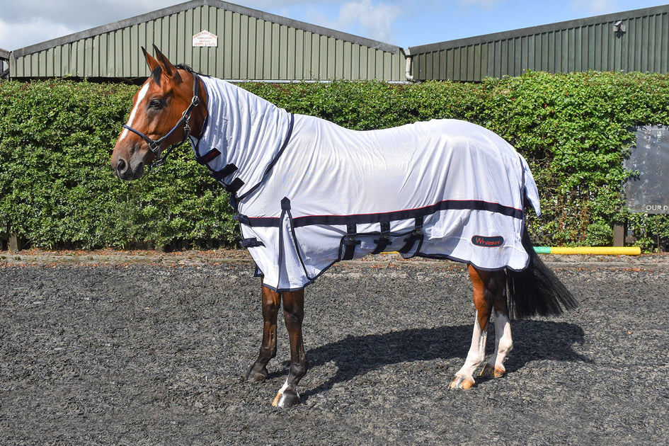 Whitaker Rastrick Fly Rug Mesh – Riding & Harness Stuff