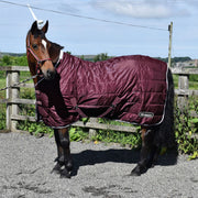 Whitaker Rug 4'9 Whitaker Crompton Stable Rug 100g