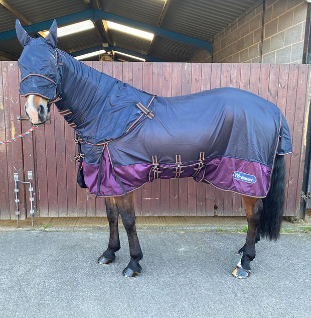 Whitaker Fly Rug 5'3 Whitaker Airton Fly Rug Navy/Plum