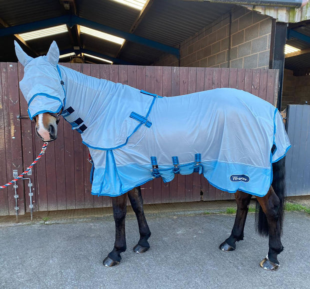 Whitaker Fly Rug 5'6 Whitaker Airton Fly Rug Light Blue