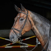 Whitaker brid Cob / Black Whitaker Ready To Ride Flash Bridle